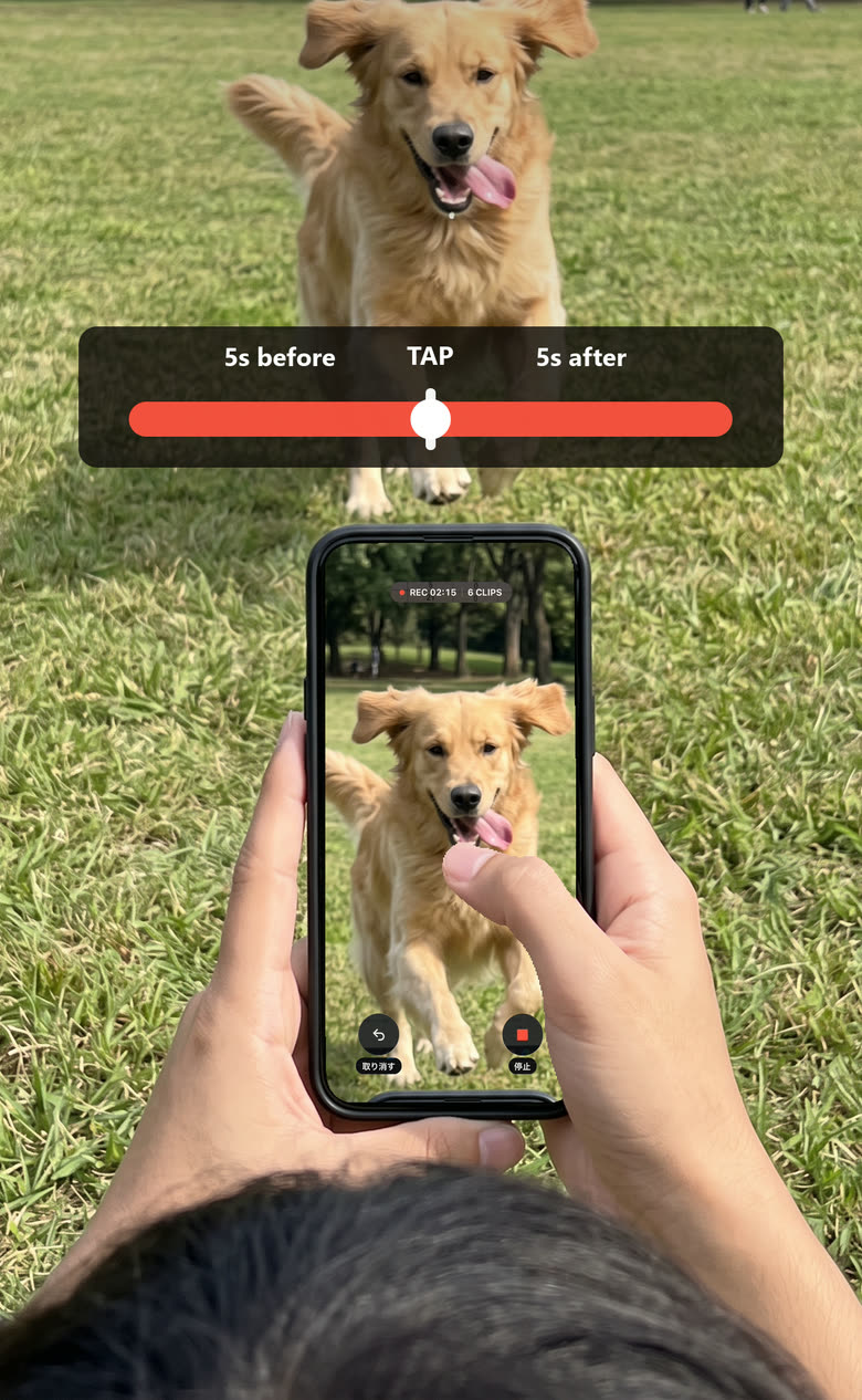 A dog caught mid-leap, with the seconds before and after the tap marked.